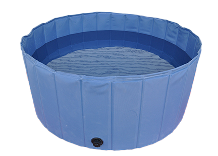 ダッシュプール (560?/1000?)