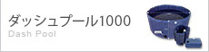 ダッシュプール1000 Dash Pool
